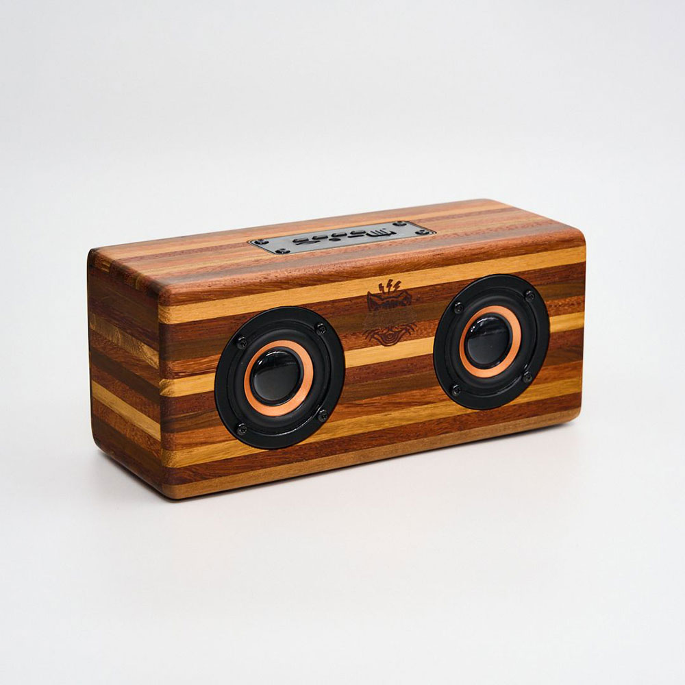 Bluetooth Speaker Workshop